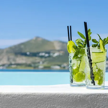 Hotel Senia 4*