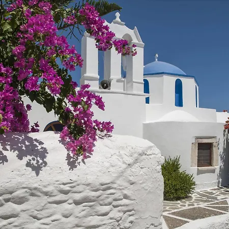Senia Hotel 4*